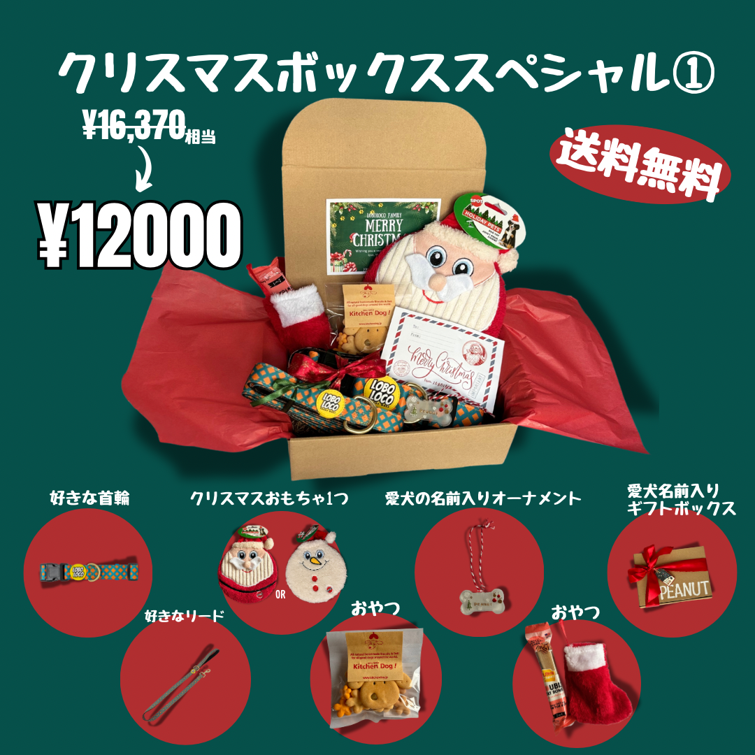 クリスマススペシャルギフトボックス ①