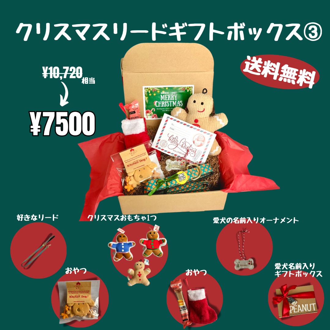 クリスマスリードギフトボックス③