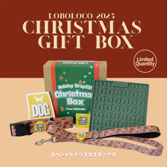 Christmas Special Gift Box