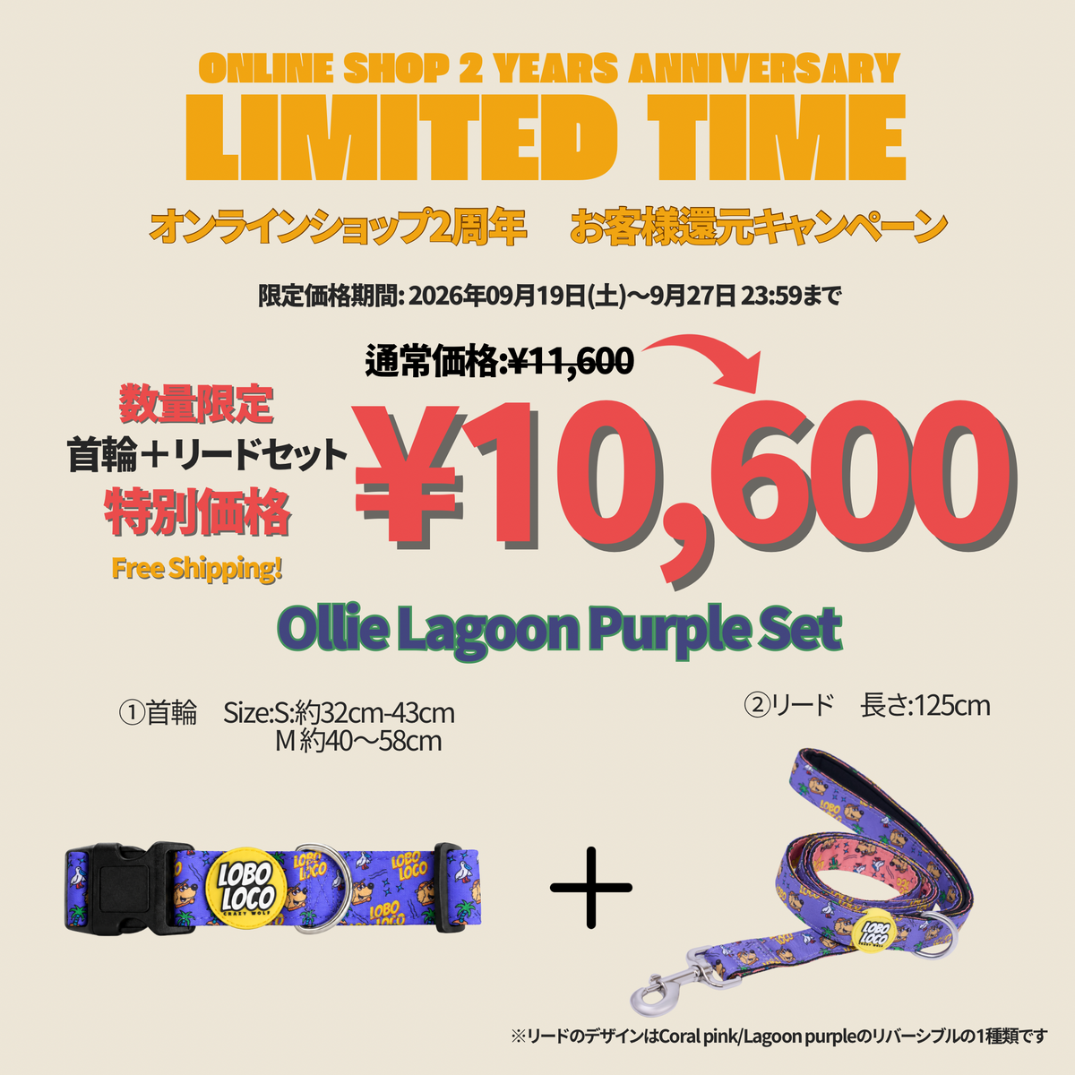 Ollie Lagoon Purple Set